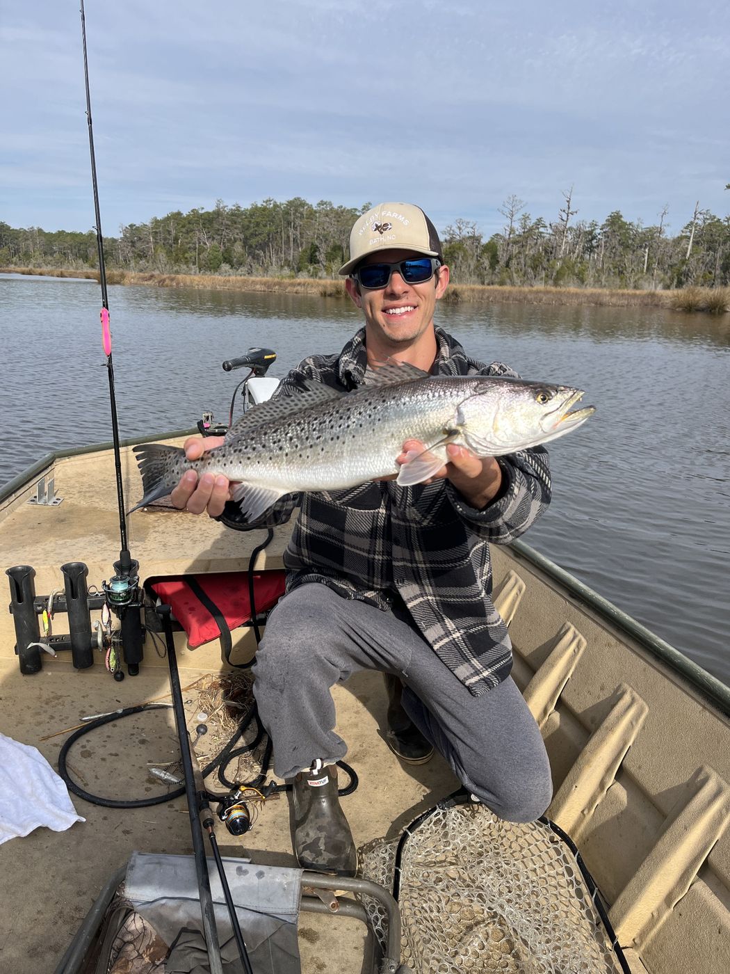 Striped bass