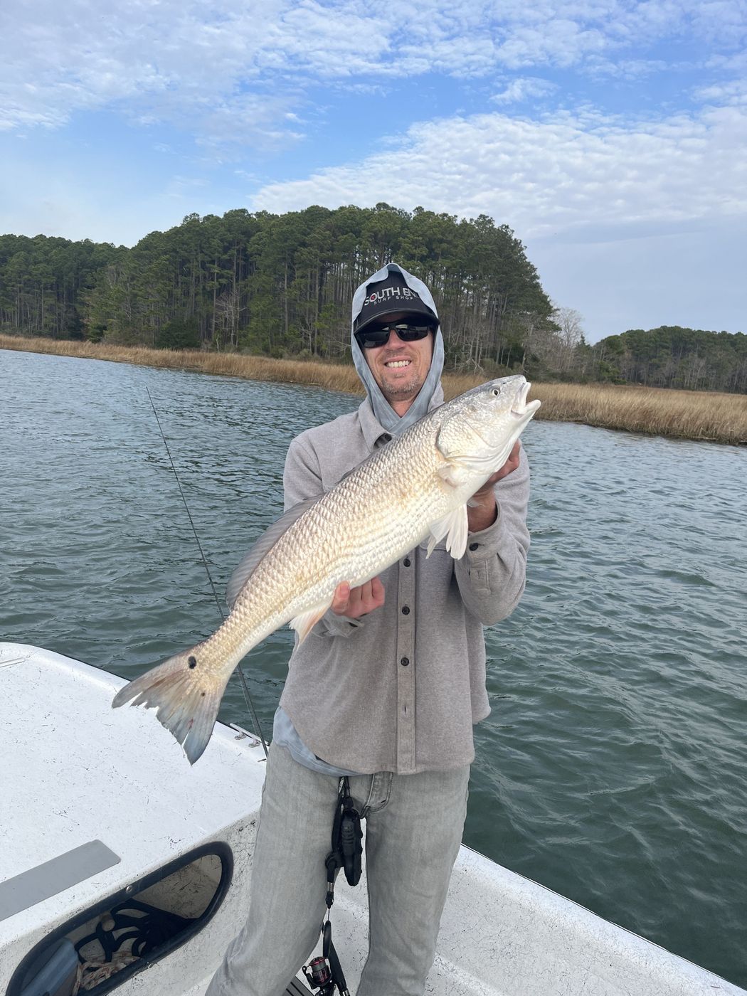 Red drum