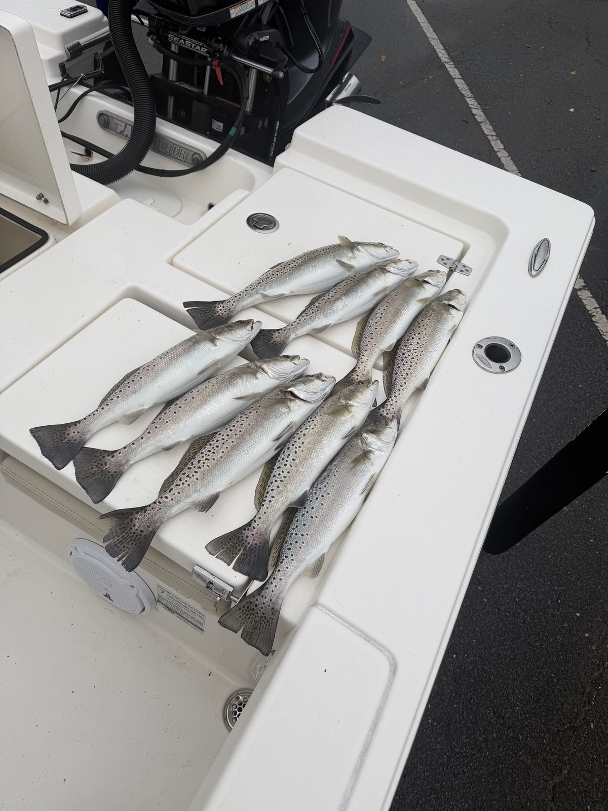 Guests showing off their catch