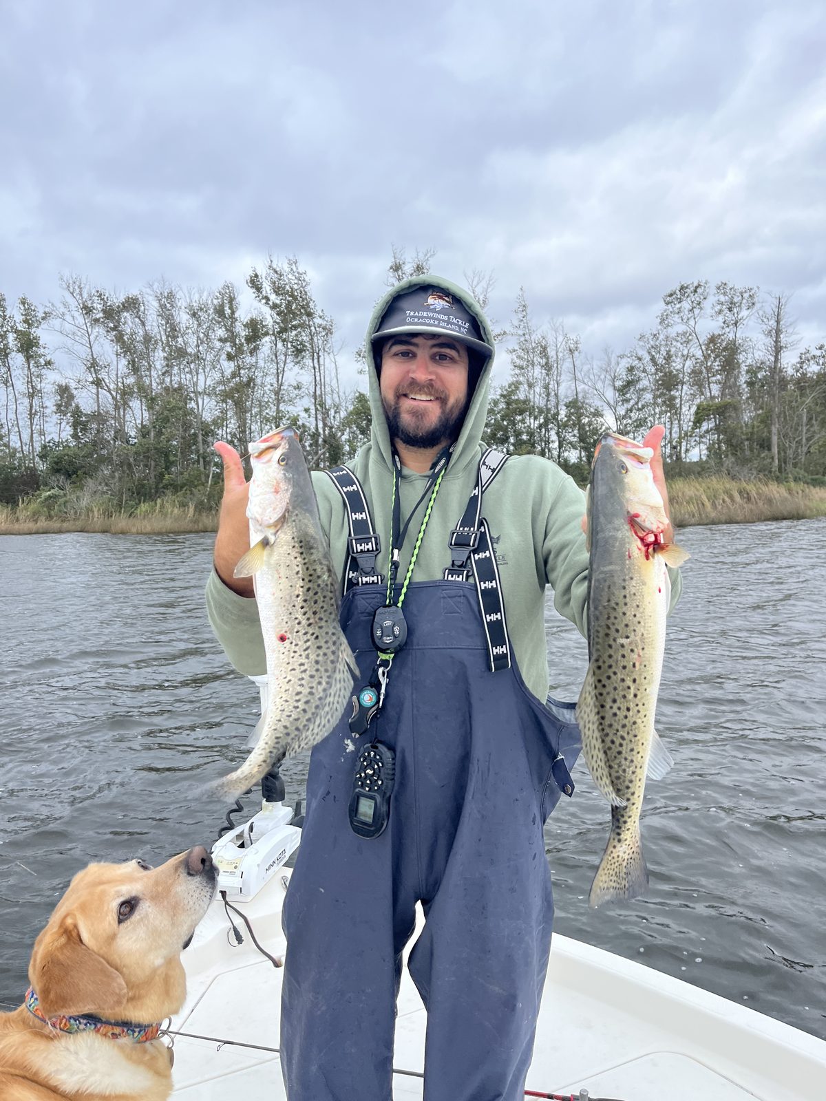 Striped bass caught inshore