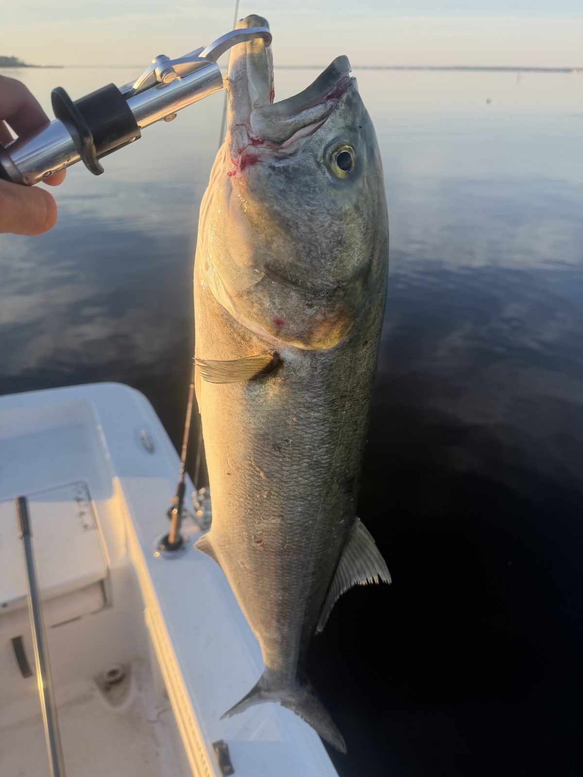 Guests showing off their catch